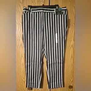 Marked down! NWT Worthington size 16 striped trousers